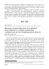 Научная статья на тему 'Питание птенцов барсучка Acrocephalus schoenobaenus и садовой камышевки A. dumetorum на юге Ленинградской области'