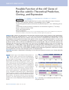 Научная статья на тему 'Possible function of the ribT gene of Bacillus subtilis: theoretical prediction, cloning, and expression'