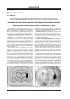 Научная статья на тему 'Применение модели геморрагического инсульта для оценки фармакологической эффективности пептидных лекарственных средств'