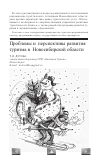 Научная статья на тему 'Проблемы и перспективы развития туризма в Новосибирской области'