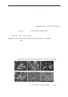 Научная статья на тему ' PRODUCTION OF ULTRA-REFRACTORY CARBIDES OF VARIOUS  STOICHIOMETRIES IN THE SYSTEMS Ta–Zr–C, Ta–Hf–C BY SHS'