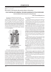 Научная статья на тему 'Pulp capping with mineral trioxide aggregate at pulp exposure'