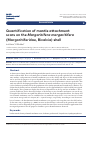 Научная статья на тему 'Quantification of mantle attachment scars on the margaritifera margaritifera (Margaritiferidae, Bivalvia) shell'