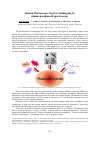 Научная статья на тему 'Raman-fluorescence tags for bioimaging by plasmon-enhanced spectroscopy'