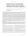 Научная статья на тему 'Reconstruction of purine metabolism in Bacillus subtilis to obtain the strain producer of AICAR: a new drug with a wide range of therapeutic applications'