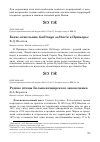 Научная статья на тему 'Редкие птицы Большехехцирского заповедника'