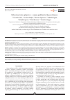 Научная статья на тему 'REFRACTORY STATUS EPILEPTICUS - A MAJOR PROBLEM FOR THE PRACTITIONERS'