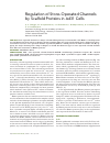 Научная статья на тему 'Regulation of store-operated channels by scaffold proteins in A431 cells'