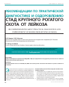 Научная статья на тему 'Рекомендации по практической диагностике и оздоровлению стад крупного рогатого скота от лейкоза'