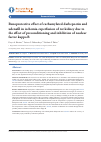 Научная статья на тему 'RENOPROTECTIVE EFFECT OF CARBAMYLATED DARBEPOETIN AND UDENAFI IN ISCHEMIA-REPERFUSION OF RAT KIDNEY DUE TO THE EFFECT OF PRECONDITIONING AND INHIBITION OF NUCLEAR FACTOR KAPPA B'