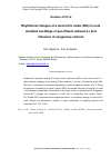 Научная статья на тему 'Rhythmical changes of a level nitric oxide (no) in roots etiolated seedlings of pea ( Pisum sativum L. ) and influence of exogenous calcium'