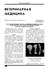 Научная статья на тему 'Рост костей плечевого пояса и передней конечности овец прикатунского типа горноалтайской породы в постнатальном онтогенезе'