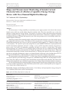 Научная статья на тему 'SHAPE AND MEASUREMENT MONITORING OF INRUSH CURRENT CHARACTERISTICS OF A BATTERY-CAPACITIVE ENERGY STORAGE DEVICE WITH TWO-CHANNEL DIGITAL OSCILLOSCOPE'