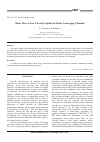 Научная статья на тему 'Shear flow of low-viscosity liquids in elastic converging channels'