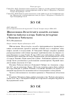 Научная статья на тему 'Шилоклювка Recurvirostra avosetta, пеганка tadorna tadorna и огарь tadorna ferruginea у Тюмени и Тобольска'