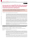 Научная статья на тему 'СИГНАЛЬНЫЙ ПУТЬ МИКРОРНК-484 / AKT В РЕГУЛЯЦИИ ЧУВСТВИТЕЛЬНОСТИ КЛЕТОК РАКА МОЛОЧНОЙ ЖЕЛЕЗЫ К ПРОТИВООПУХОЛЕВЫМ ПРЕПАРАТАМ'