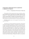 Научная статья на тему 'Символика и функции масок и ряженья в обрядности мордвы'