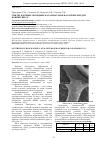 Научная статья на тему 'СИНТЕЗ БЛОЧНЫХ ОКСИДНЫХ КАТАЛИЗАТОРОВ НА ОСНОВЕ РЗМ ДЛЯ КОНВЕРСИИ СО'