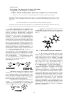 Научная статья на тему 'Синтез новых производных пирроло[3,4-c]пиррол-1,3,4,6-тетраонов'