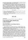 Научная статья на тему 'Случаи зимовки турпана Melanitta fusca в Санкт-Петербурге'