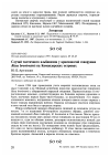 Научная статья на тему 'Случай частичного альбинизма у красноногой говорушки Rissa brevirostris на Командорских островах'