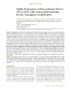 Научная статья на тему 'Stable expression of recombinant factor VIII in Cho cells using methotrexate-driven transgene amplification'