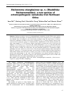 Научная статья на тему 'Steinernema changbaiense sp. n. (Rhabditida: Steinernematidae), a new species of entomopathogenic nematodes from Northeast China'