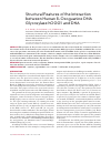 Научная статья на тему 'Structural features of the interaction between human 8-oxoguanine DNA glycosylase hOGG1 and DNA'