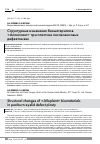 Научная статья на тему 'Структурные изменения биоматериалов «Аллоплант» при пластике послеожоговых дефектов век'