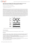 Научная статья на тему 'Studying on-off firing patterns in the network of coupled Hodgkin-Huxley neurons in the presence of noise'