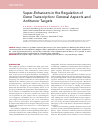 Научная статья на тему 'SUPER-ENHANCERS IN THE REGULATION OF GENE TRANSCRIPTION: GENERAL ASPECTS AND ANTITUMOR TARGETS'