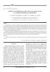 Научная статья на тему 'Synthesis of cast high entropy alloys with a low specific gravity by centrifugal metallothermic SHS-Methods'