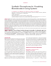 Научная статья на тему 'Synthetic fluorophores for visualizing biomolecules in living systems'