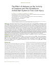 Научная статья на тему 'The effect of melaxen on the activity of caspases and the glutathione antioxidant system in toxic liver injury'