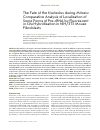 Научная статья на тему 'The fate of the nucleolus during mitosis: comparative analysis of localization of some forms of pre-rRNA by fluorescent in situ hybridization in NiH/3T3 mouse fibroblasts'