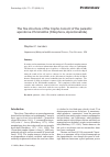 Научная статья на тему 'The fine structure of the tropho-tomont of the parasitic apostome Chromidina (Ciliophora, Apostomatida)'