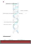 Научная статья на тему 'The generative dimension, in the light of Aristotle’s substance (hypokeimenon) theory'