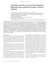 Научная статья на тему 'THE GENOME STRUCTURE OF CIPROFLOXACIN-RESISTANT MYCOPLASMA HOMINIS CLINICAL ISOLATES'