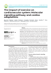 Научная статья на тему 'The impact of exercise on cardiovascular system: Molecular signaling pathway and cardiac adaptations'