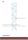 Научная статья на тему 'The meaning of Aristotelian causation for molecular era medicine & public health'