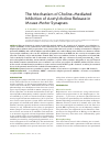 Научная статья на тему 'The mechanism of choline-mediated inhibition of acetylcholine release in mouse motor synapses'