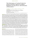 Научная статья на тему 'THE MECHANISMS OF CARDIAC PROTECTION USING A SYNTHETIC AGONIST OF GALANIN RECEPTORS DURING CHRONIC ADMINISTRATION OF DOXORUBICIN'