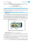 Научная статья на тему 'THE PRICIPLE OF OPERATION OF THE DEVICE THAT MEASURES THE VERTICAL FLIGHT SPEED OF THE AIRCRAFT'