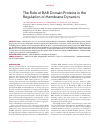 Научная статья на тему 'The role of bar domain proteins in the regulation of membrane dynamics'