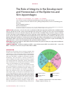 Научная статья на тему 'The role of integrins in the development and homeostasis of the epidermis and skin appendages'