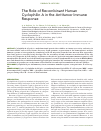 Научная статья на тему 'The role of recombinant human Cyclophilin a in the antitumor immune response'