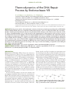 Научная статья на тему 'Thermodynamics of the DNA Repair process by endonuclease VIII'