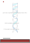 Научная статья на тему 'Three concepts in the history of the knowledge of the world (cause, consequence, telos) and a conclusion'