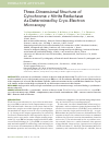 Научная статья на тему 'Three-dimensional structure of cytochrome c nitrite reductase as determined by cryo-electron microscopy'