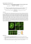 Научная статья на тему 'THREE-DIMENSIONAL VIRTUAL OPTICAL CLEARING FOR HIGH-THROUGHPUT DEEP TISSUE IMAGING'